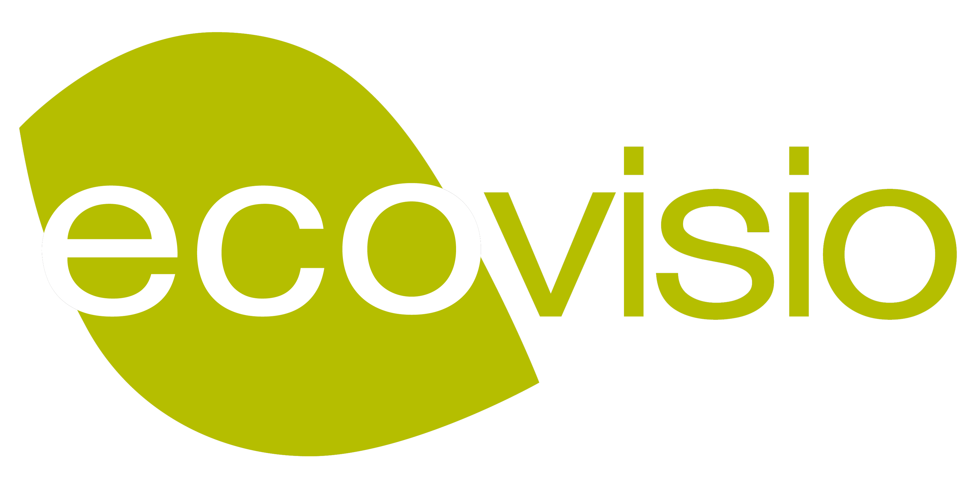 ecovisio logo01